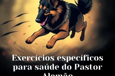 Exercícios Específicos para Saúde do Pastor Alemão: Melhore a Qualidade de Vida Exercícios Específicos para Saúde do Pastor Alemão