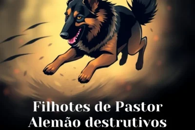 Filhotes de Pastor Alemão destrutivos