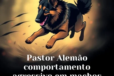Pastor Alemão comportamento agressivo em machos