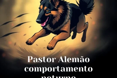 Pastor Alemão Comportamento Noturno