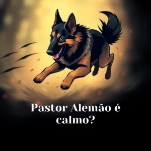 Pastor Alemão é calmo