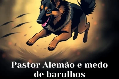 Pastor Alemão e medo de barulhos: Como entender e ajudar seu cão Pastor Alemão e medo de barulhos