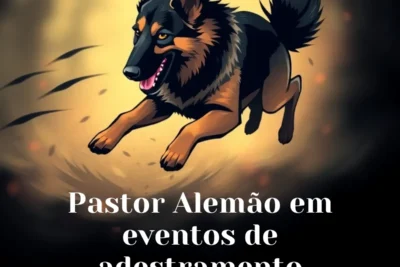 Pastor Alemão em Eventos de Adestramento