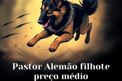 Pastor Alemão filhote preço médio: Descubra quanto custa um cachorro lindo! Pastor Alemão filhote preço médio