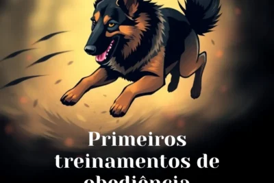Primeiros treinamentos de obediência