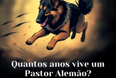 Quantos anos vive um Pastor Alemão