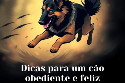 Dicas para um cão obediente e feliz